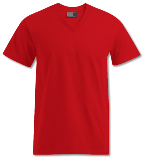 Premium V-Neck T-Shirt 