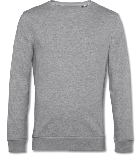 Bio Herren Sweater Inspire heather grey | S