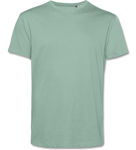 Bio T-Shirt #Inspire E150 sage | S
